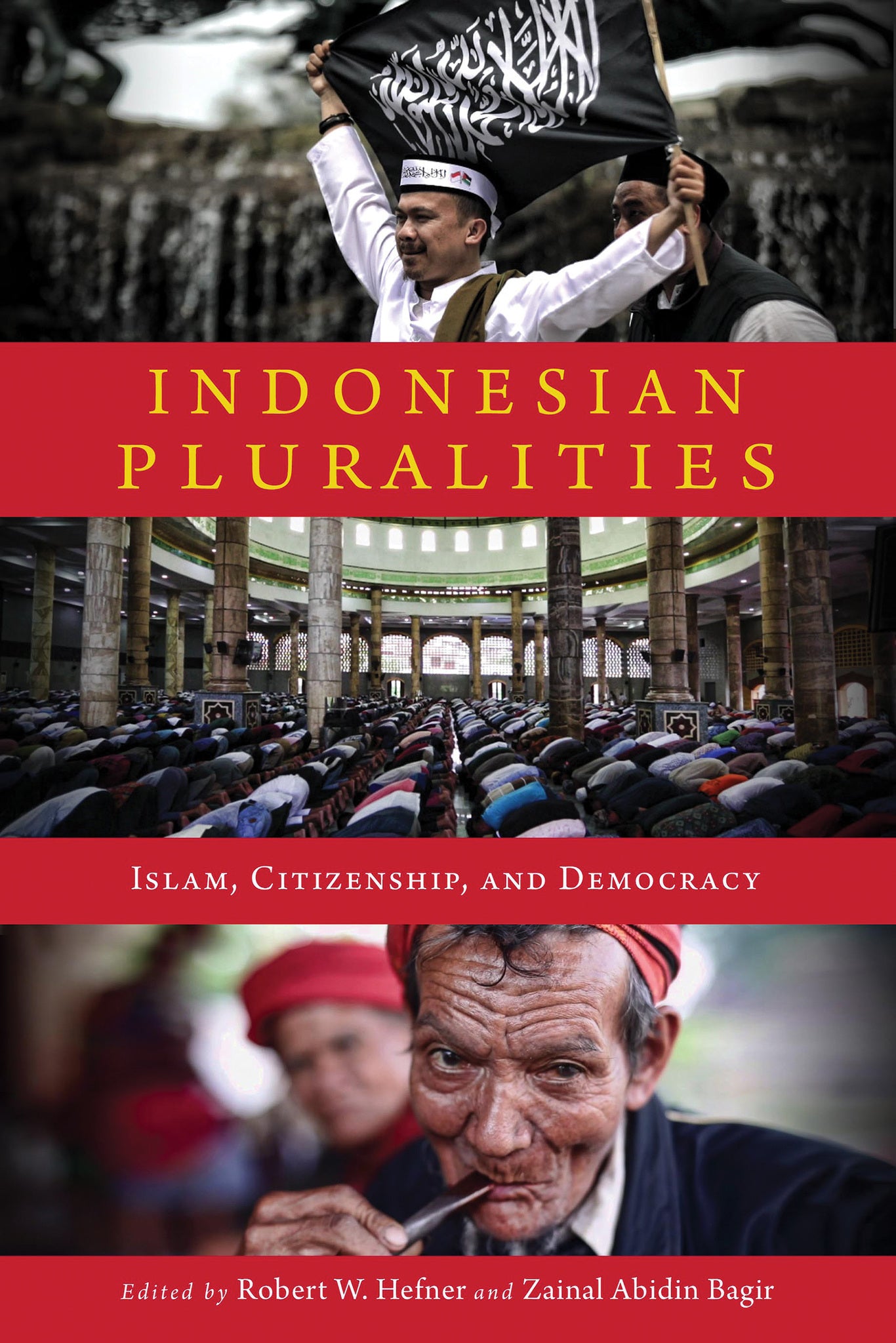 Cover image for Indonesian Pluralities ISBN 9780268108632